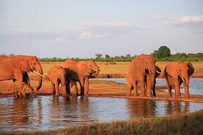 Voi Wildlife Lodge