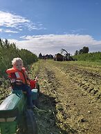 Ruyge Weyde Logies