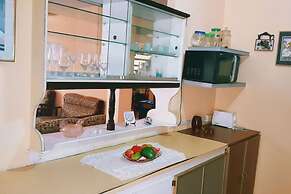 Spacious Apartment near Mall