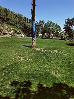 The Mountain Quail