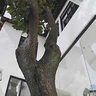 Suzhou Cloud Art Inn