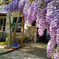 Beyaz Ev Pansiyon