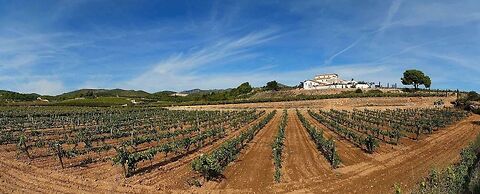 Mas Llagostera