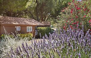 Résidence Odalys Shangri-La - Les Hauts de Cassis