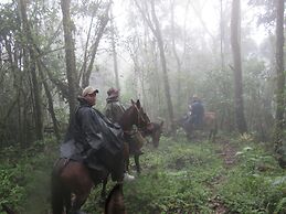Finca Los Arboles
