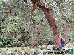 Finca Los Arboles