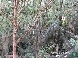 Finca Los Arboles