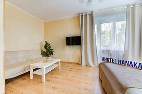 Apartment Hanaka on Mesherskiy 8