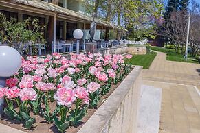 Hotel Lebed