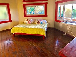 Mid-Century Style House