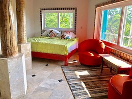 Mid-Century Style House