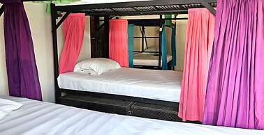 Casa Oro Eco Hostel