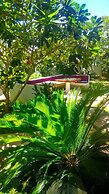 Villa Kalachuchi B&B