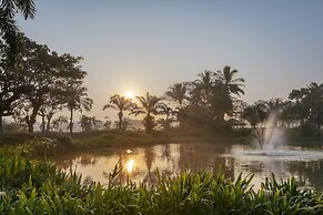 Awei Metta Yangon