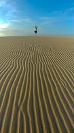 Back of Beyond Dune Camp - Yala