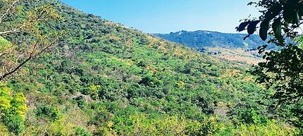 Wide Horizons Mountain Retreat
