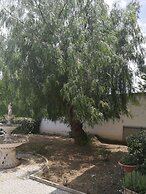 Garden Inn