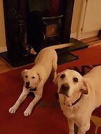 Brookvale Bed & Breakfast