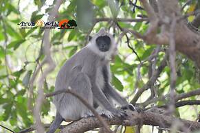 Ayubowan Resorts