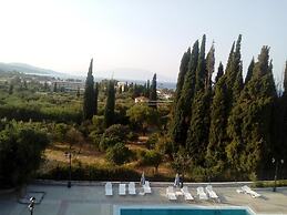 Zante Dolphin
