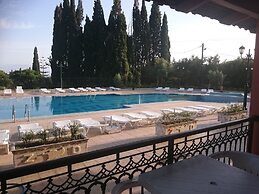 Zante Dolphin
