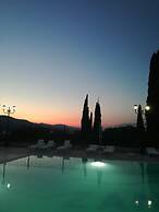 Zante Dolphin