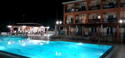 Zante Dolphin