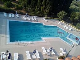 Zante Dolphin