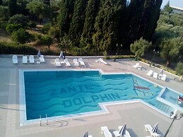 Zante Dolphin