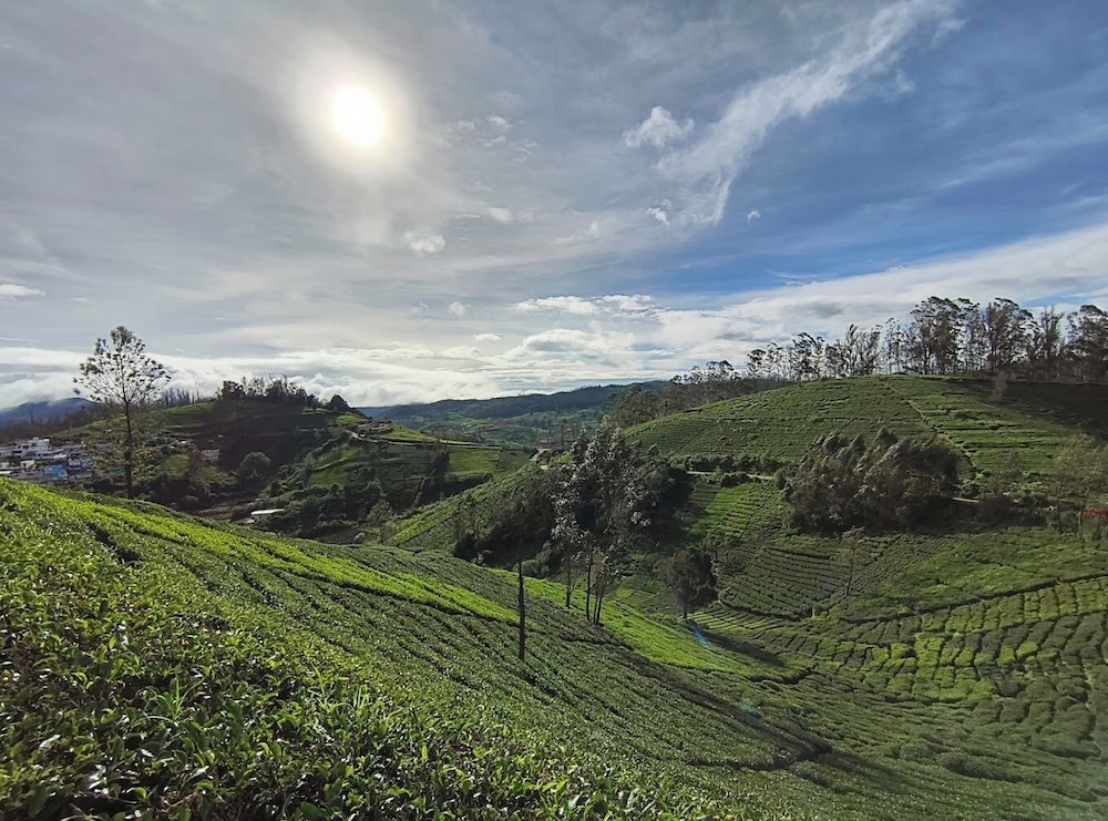 Janardan Tea Resort - Campsite
