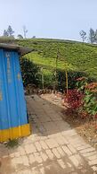 Janardan Tea Resort - Campsite