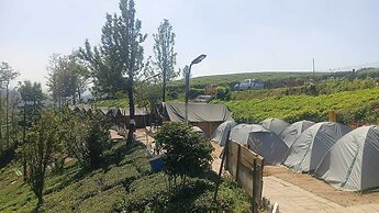 Janardan Tea Resort - Campsite