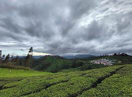 Janardan Tea Resort - Campsite