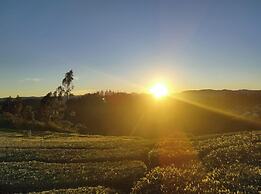 Janardan Tea Resort - Campsite