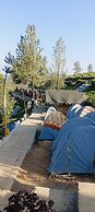 Janardan Tea Resort - Campsite