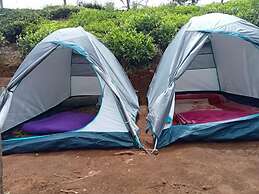 Janardan Tea Resort - Campsite