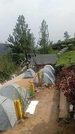 Janardan Tea Resort - Campsite