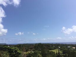 Matayoshi Coffee Farm