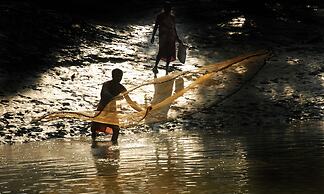 Sunderban Tiger Camp