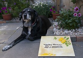 B&B Sikily Naxos
