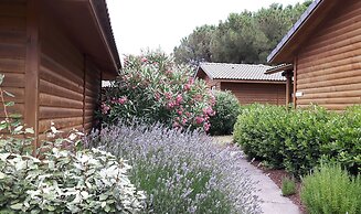 Les Hauts de Baldy