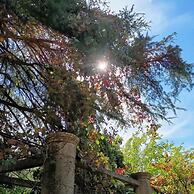 Old Garden