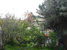 Old Garden