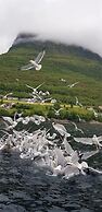 Fiskesenter Birkeland