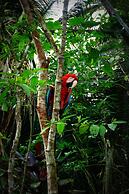 Villa Hermosa de Tambopata