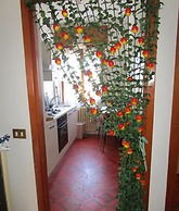 Rainbow House