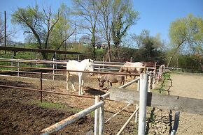 Agriturismo Fattoria Il Bruco