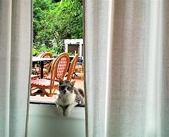 Hostal Montsoliu