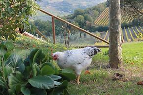 Agriturismo Il Poderuccio