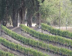 Agriturismo Il Poderuccio